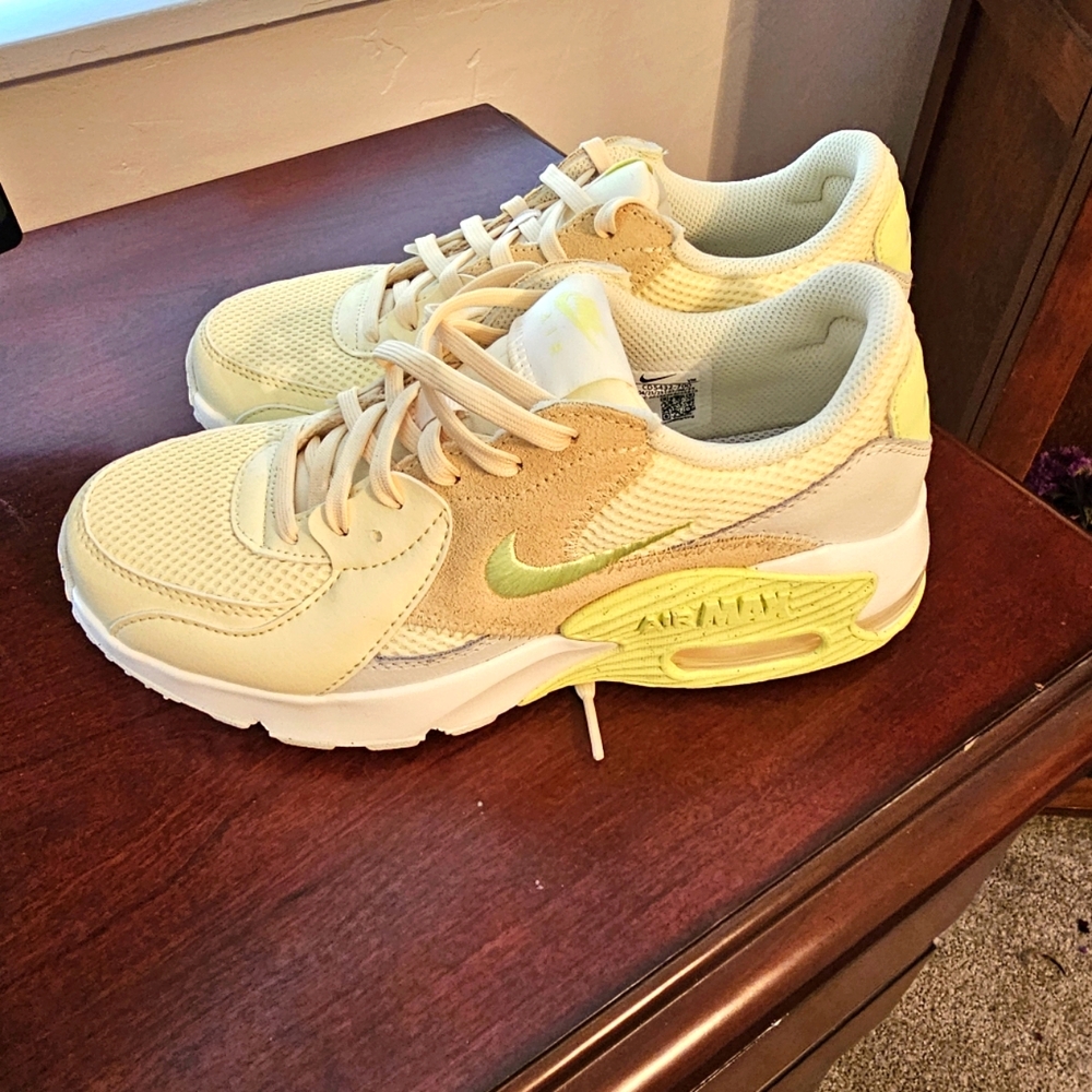 Nike Air Max